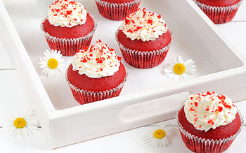 Red velvet, Cupcakes HD wallpaper