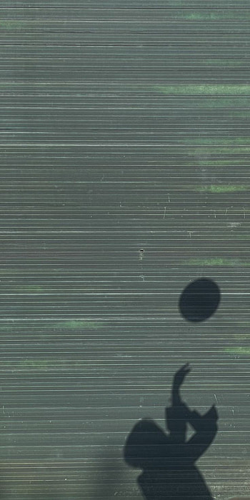 Haechan's shadow, haechan, nct HD phone wallpaper
