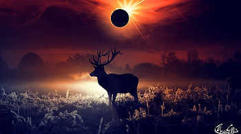 Deer Fantasy Art, deer, artist, artwork, digital-art, animals HD wallpaper