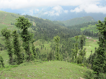 my birth place, mandi, himachal , kullu, vijay, its the nature, nature, village HD wallpaper