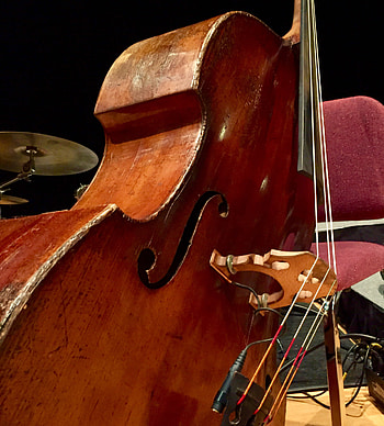 John Worster Arvell Shaw, Bohemian double bass, No treble, Old-school elegance HD phone wallpaper