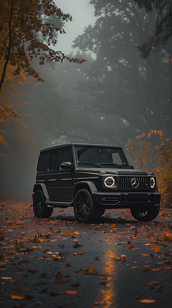 Mystic G-Class Elegance, Mercedes-Benz G-Class, Mercedes-Benz, SUV, Mercedes, Autumn HD phone wallpaper