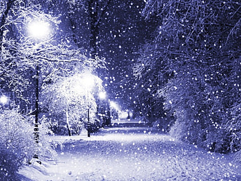Winter park at night, winter, night, trees, park HD wallpaper