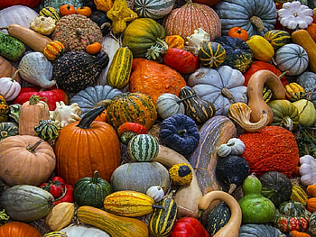 Harvest, Abstract, graphy, Pumpkins, Colorful HD wallpaper