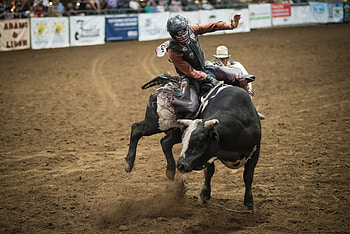 2018 Franklin Rodeo, Rodeo HD wallpaper