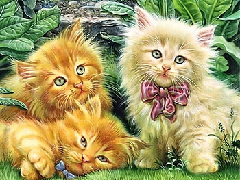 Kitten Sisters, kitten, cats, sisters, animals HD wallpaper