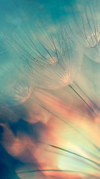 Unique, Abstract HD phone wallpaper