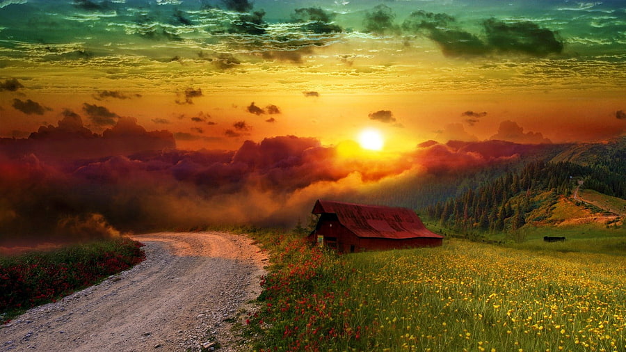 Peaceful Place, colors, peaceful, houses, flowers field, trees, mountains, sunset, house, landscape, grass, tree, field of flowers, green, valley, view, nature, cottage, lovely, colorful, sunlight, beauty, amazing, road, sun, pathway, path, beautiful, cabin, hut, clouds, sky, flowers, splendor HD wallpaper