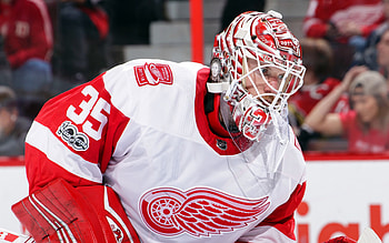 Goaltender Jimmy Howard, Red Wings pride HD wallpaper