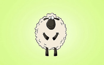Vector, , Drawing, Curls, Lamb HD wallpaper