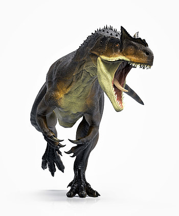 ArtStation, Allosaurus Manuel Gil Jaramillo, Dinosaur , Prehistoric animals HD phone wallpaper