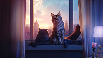 Cats, cats, cat, animals, deviantart, artist, artwork, digital-art HD wallpaper