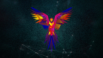 Project_303_2018 MastrMarco, Parrot, linux, windows, , MastrMarco HD wallpaper