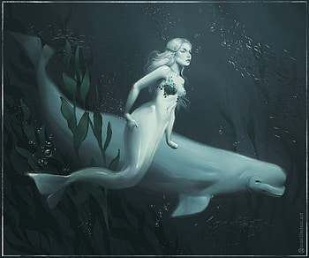 Beluga Whale Mermaid by Maria Makovetskaya, blue, whale, mermaid, art, girl, mistillteinn, maria makovetskaya, summer, fantasy, luminos, water, beluga, siren, vara HD wallpaper