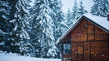 Snowy House, Snowfall HD wallpaper