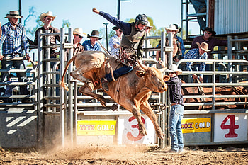 Bassett Park, Rodeo HD wallpaper