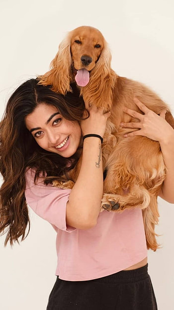 Rashmika mandana, actress, facial expression, dog breed HD phone wallpaper