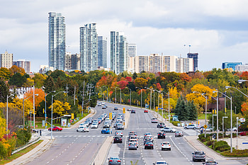 Cities, Auto, Trees, Architecture, City, Road, Skyscrapers HD wallpaper