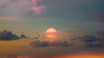 Good Morning Peeps, artist, artwork, digital-art, outrun HD wallpaper