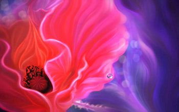 Abstract, Flower, Drawing, , Colorful, Colourful, Poppy HD wallpaper
