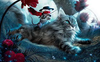 Animals, Fantasy, Cat, Toy, Flight HD wallpaper