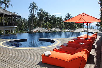 Relax at a tropical resort with sun loungers and palm trees by the pool. HD wallpaper