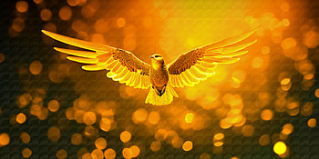 AI Art, Bird HD wallpaper
