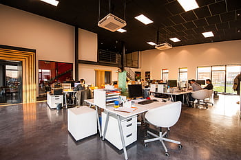 A spacious and modern open-plan office with natural lighting and employees working at desks. HD wallpaper