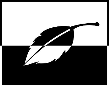 Black and White Abstract, leaf, white, black HD wallpaper