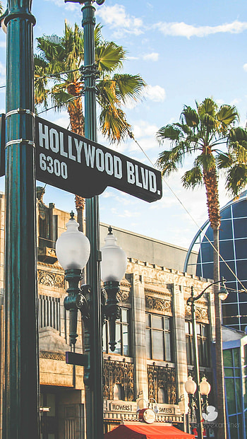 Hollywood Sign, Hollywood California , Scenic backgrounds, Stunning visuals HD phone wallpaper