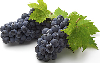 Refreshing grape juice, Healthy drink, Nutritious fruit, Quenching thirst HD wallpaper