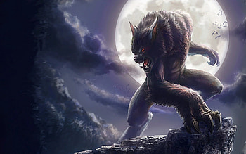 Werewolf, , Fierce beast, Stunning visuals HD wallpaper