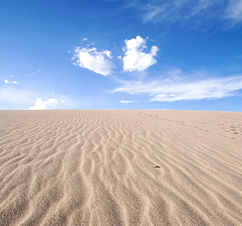 Desert, sand, sunny day, horizon HD wallpaper