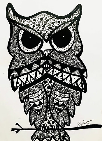 Night Owl, Nature HD phone wallpaper