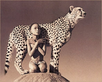 Ashes and Snow by Gregory Colbert, leopard, art, exotic, nomad HD wallpaper