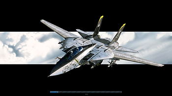 F 14 Tomcat HD wallpaper