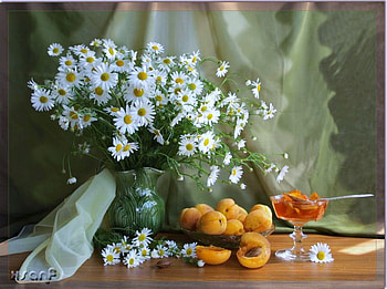 Daisies and apricots - still life, table, apricots, drape, jelly, daisy arrangement HD wallpaper