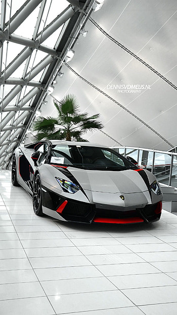 Lamborghini cell , High-resolution , Iconic sports cars, Speed and luxury HD phone wallpaper