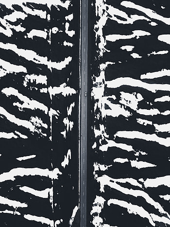 Snow, Zebra, View From Above, Road, Minimalism HD phone wallpaper