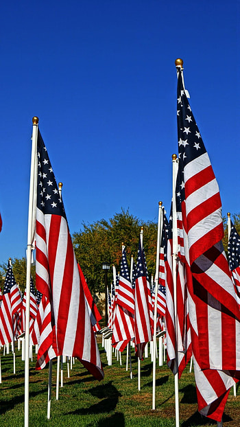American flag , Top quality backgrounds, Patriotic spirit, USA pride HD phone wallpaper