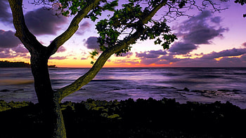 Hawaii Dusk - Turtle Beach, Oahu, usa, sea, colors, trees, clouds, sky, sunrise HD wallpaper