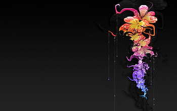 Colorful Fantasy Orchids, colorful, flowers, black, fantasy HD wallpaper