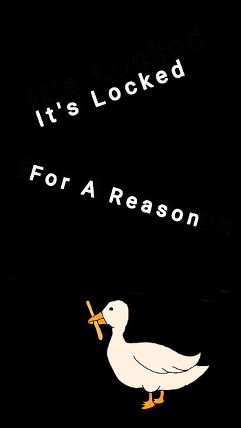 It's locked duck, its_locked_for_a_reason, meme, lock_screen, funny, 18_karat_soul HD phone wallpaper