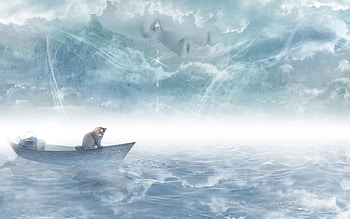 Face At Sky, face, cat, cg, 3d HD wallpaper