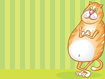 Vector, Cat, Drawing, , Striped, Fat, Thick HD wallpaper