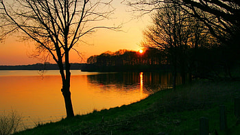 GOLDEN SUNSET, trees, forest, lake, sunset HD wallpaper