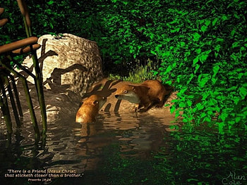 Friends together, reeds, 2 otter friends, bank, trees, verse, rock, pond HD wallpaper