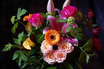 Flowers, Miscellanea, Miscellaneous, Bouquet, Black Background HD wallpaper