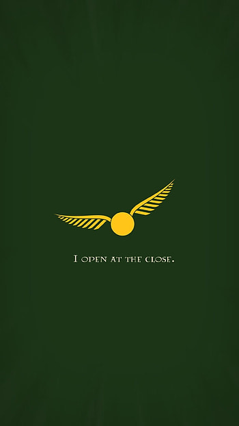 Slytherin Quidditch team, Seeker , Cunning tactics, House unity HD phone wallpaper