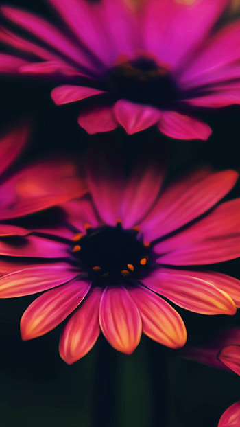 Artistic daisy illustration, Pling. com creation, Floral beauty, Eye-catching design HD phone wallpaper